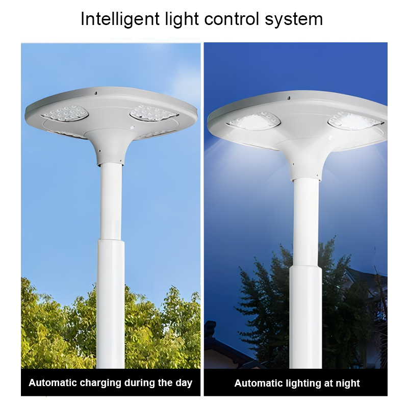 Remote Control Waterproof IP65 IP67 ABS Shell Theme Park LANDSCAPE Outdoor Light 50W 100W 200W 300W 400W LED Solar Garden Light